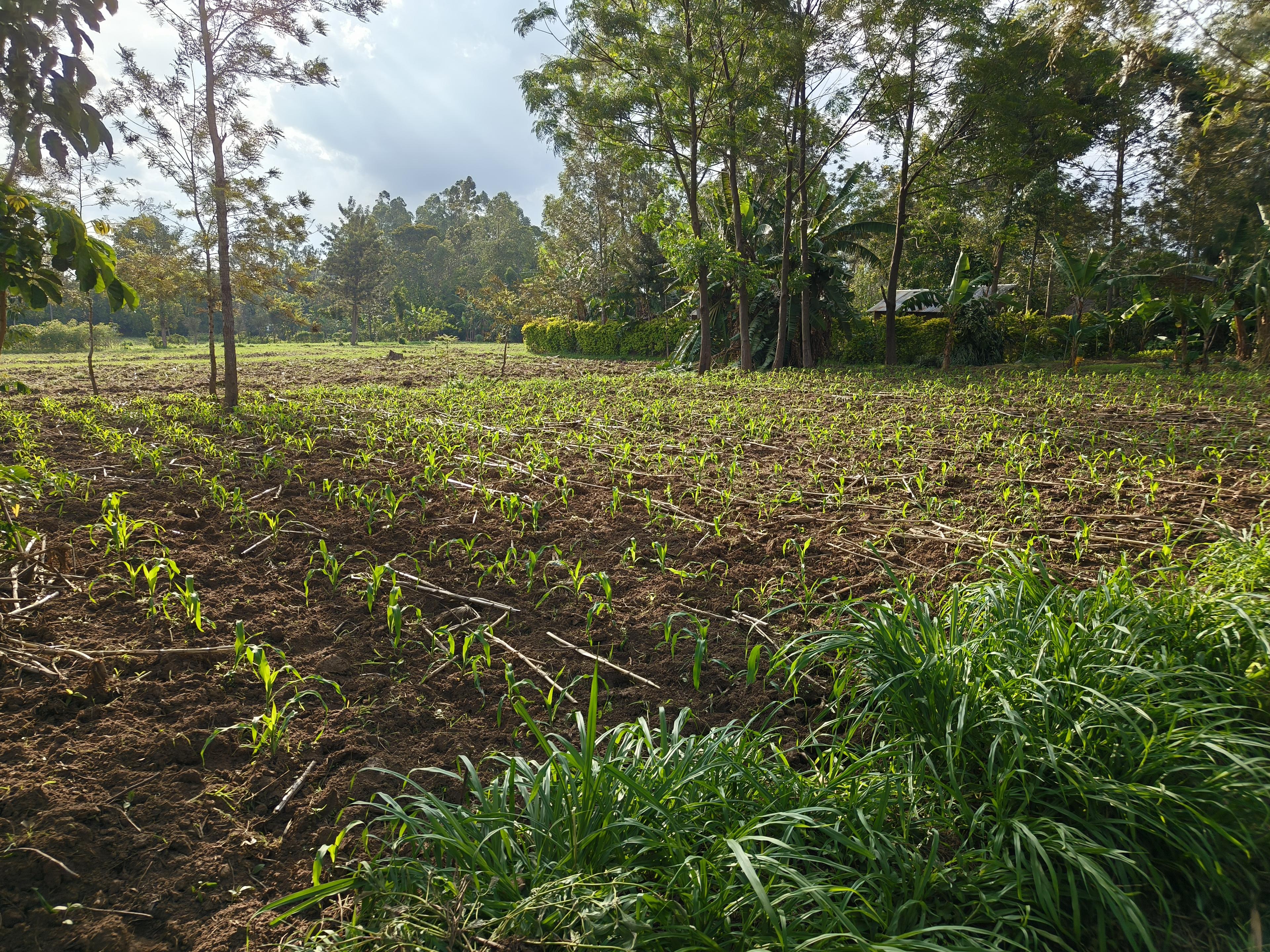 Strategic partnership meeting with community leaders