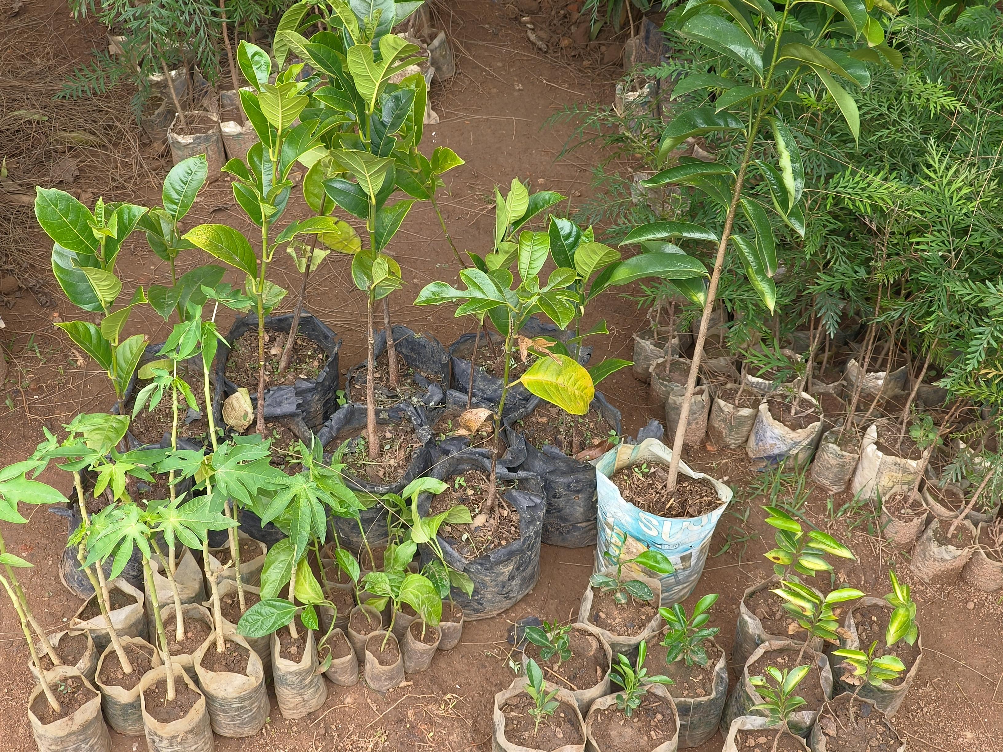Community members engaged in climate action planning